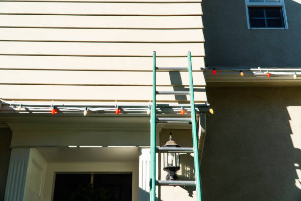 Best Siding Painting and Refinishing  in Winfield, IA