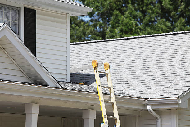 Best Stucco Siding  in Winfield, IA