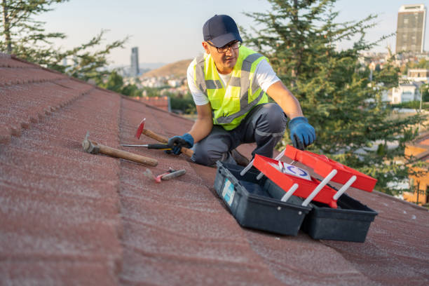 Best Storm Damage Siding Repair  in Winfield, IA