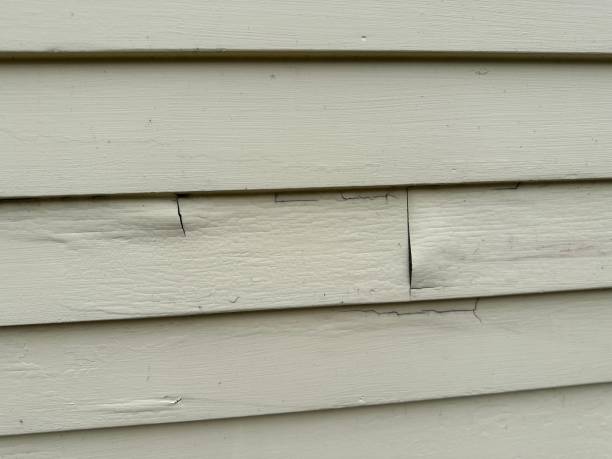 Best Insulated Siding Installation  in Winfield, IA